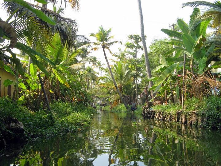 Alapatt Homestay Alappuzha Exterior foto